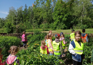 Dzieci biorą udział w wycieczce do Ogrodu Botanicznego