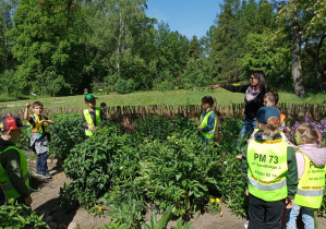 Dzieci biorą udział w wycieczce do Ogrodu Botanicznego