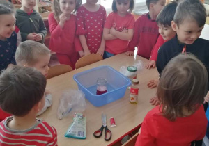 Dzieci ustawione wokół jednego stołu wykonują eksperyment z czerwonym barwnikiem.