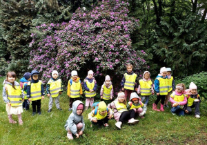 Zdjęcie grupowe, w tle rododendron