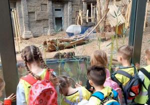 Dzieci oglądają zwierzęta w Orientarium- tapir i wyderki