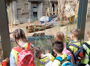 Wycieczka do Orientarium, grupa II i III