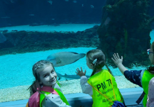 Dzieci oglądają zwierzęta w Orientarium- rekiny