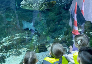 Dzieci oglądają zwierzęta w Orientarium- ryby
