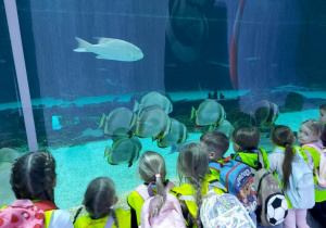Dzieci oglądają zwierzęta w Orientarium- ryby