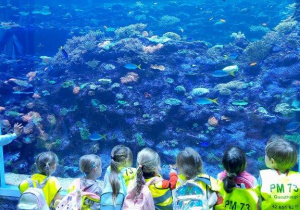 Dzieci oglądają zwierzęta w Orientarium- zwierzęta koralowe