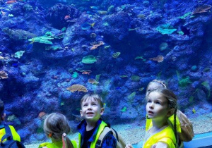 Dzieci oglądają zwierzęta w Orientarium- zwierzęta koralowe