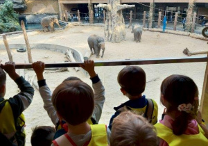Dzieci oglądają zwierzęta w Orientarium- słonie