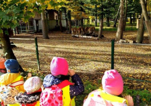 Dzieci oglądają zwierzęta na terenie zoo