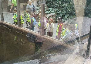 Dzieci stoją za szklaną klatką dla zwierząt