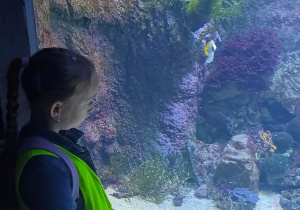 Dziewczynka ogląda ryby w akwarium