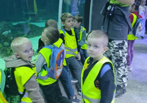 Dzieci oglądają ryby