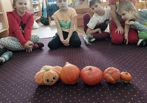 Dzieci ułożyły dynie od największej do najmniejszej.