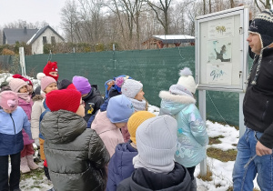 Przewodnik opowiada o życiu pszczół.