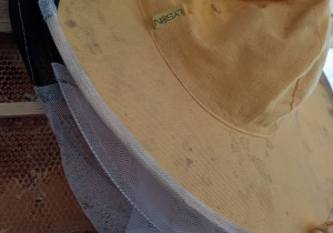 Ochronne nakrycie głowy przed pszczołami.