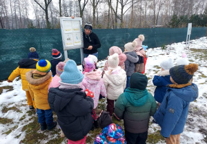 Przewodnik tłumaczy dzieciom rozwój pszczoły.