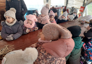 Przewodnik rozmawia z dziećmi o stanie hibernacji pszczół