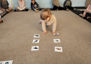 Dziewczynka szuka obrazków z takimi samymi dinozaurami