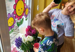 Dzieci dbają o kącik przyrodniczy, podlewają kwiaty