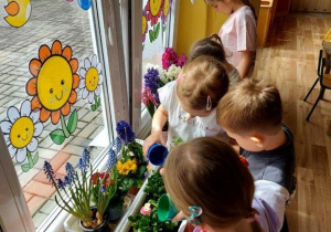 Dzieci dbają o kącik przyrodniczy, podlewają kwiaty