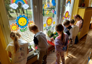 Dzieci dbają o kącik przyrodniczy, podlewają kwiaty