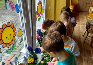 Dzieci dbają o kącik przyrodniczy, podlewają kwiaty