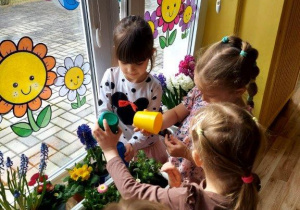 Dzieci dbają o kącik przyrodniczy, podlewają kwiaty