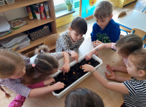 Czekamy na szczypiorek!!! grupa II