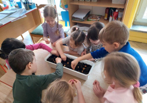 Dzieci wsadzają do ziemi małe cebulki