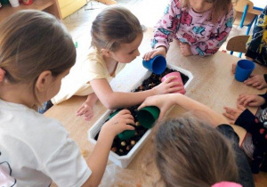 Dzieci podlewają cebulki