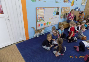 Obserwacja zachowań kota przez dzieci z grupy I
