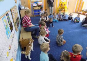 Obserwacja zachowań kota przez dzieci z grupy I