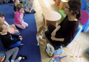 Rozmowa z dziećmi na temat kotów objętych ochroną w Fundacji
