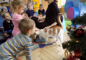 Głaskanie kota przez dzieci